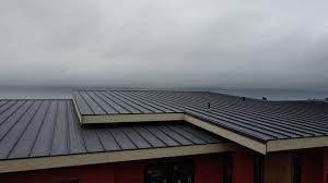 Best Sheet Metal Roofing  in White Knoll, SC